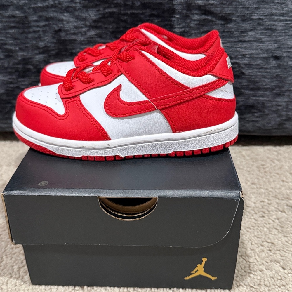 Toddler NIKE Dunks (Unisex)